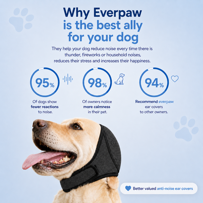 Noise-canceling earmuffs for dogs